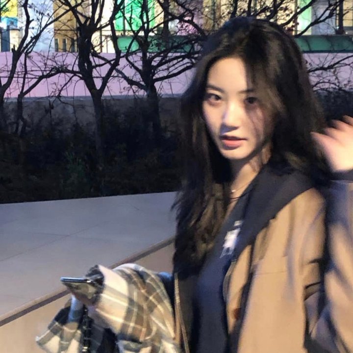 五个相扑的少年电影版